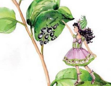 Иллюстрация к книге — Фруечки [i_006.jpg]