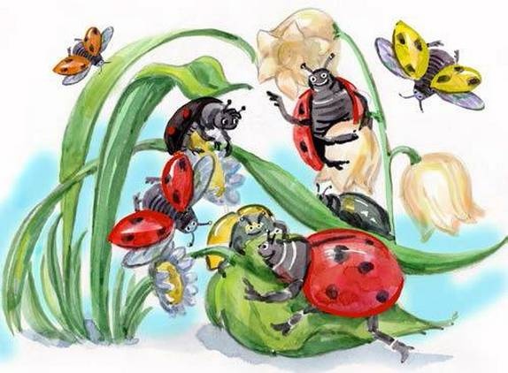 Иллюстрация к книге — Фруечки [i_009.jpg]