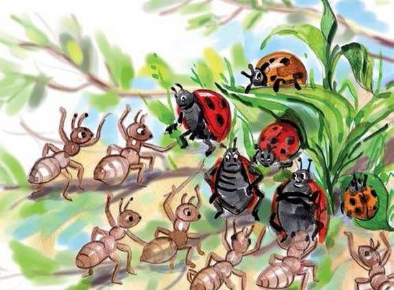 Иллюстрация к книге — Фруечки [i_010.jpg]