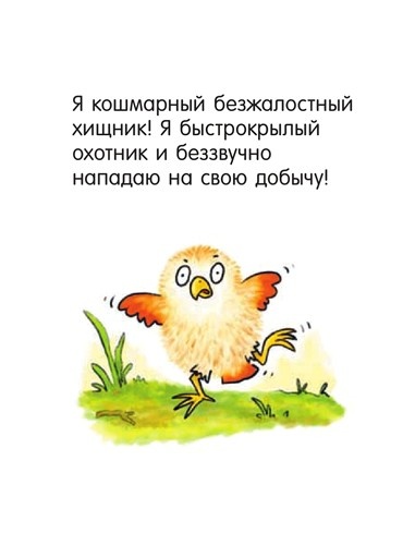 Иллюстрация к книге — Я не миленький! [i_007.jpg]