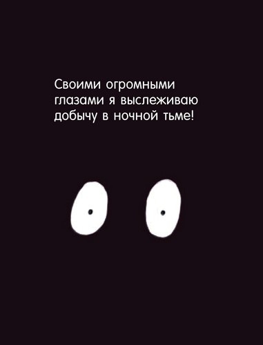 Иллюстрация к книге — Я не миленький! [i_012.jpg]