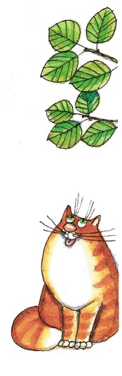 Иллюстрация к книге — Красавица 5 "В" [_040.jpg]