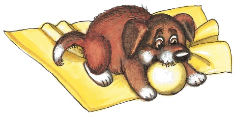 Иллюстрация к книге — Красавица 5 "В" [_048.jpg]