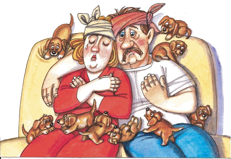 Иллюстрация к книге — Красавица 5 "В" [_050.jpg]