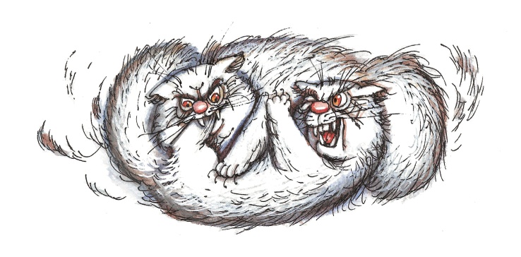 Иллюстрация к книге — Красавица 5 "В" [_108.jpg]