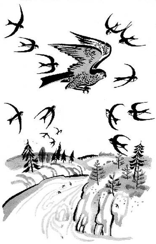 Иллюстрация к книге — Конь с розовой гривой [i_011.jpg]