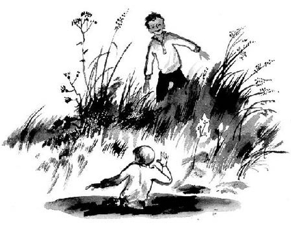 Иллюстрация к книге — Конь с розовой гривой [i_021.jpg]