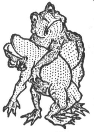 Иллюстрация к книге — Истории сказочной страны Мо и ее волшебного короля [i_094.jpg]