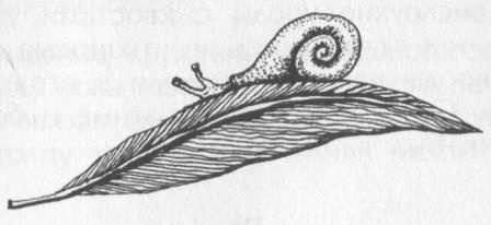 Иллюстрация к книге — Победитель страха [picture31.jpg]