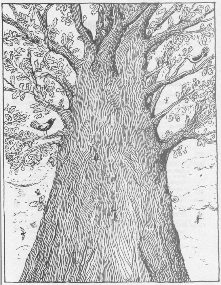 Иллюстрация к книге — Победитель страха [picture36.jpg]