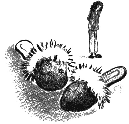 Иллюстрация к книге — Пендервики на улице Гардем [img17.jpg]