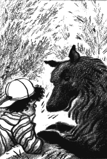 Иллюстрация к книге — Пендервики на улице Гардем [img23.jpg]