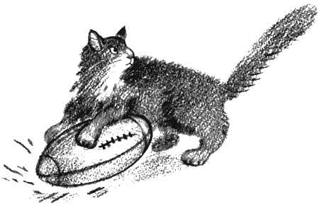 Иллюстрация к книге — Пендервики на улице Гардем [img24.jpg]