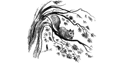 Иллюстрация к книге — Пендервики на улице Гардем [img28.jpg]