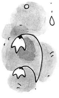 Иллюстрация к книге — День матери [i_022.jpg]