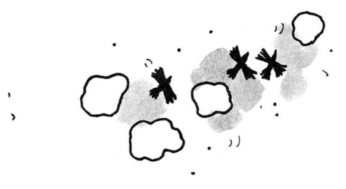 Иллюстрация к книге — День матери [i_067.jpg]