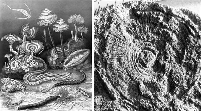 Иллюстрация к книге — 100 великих тайн доисторического мира [i_010.jpg]