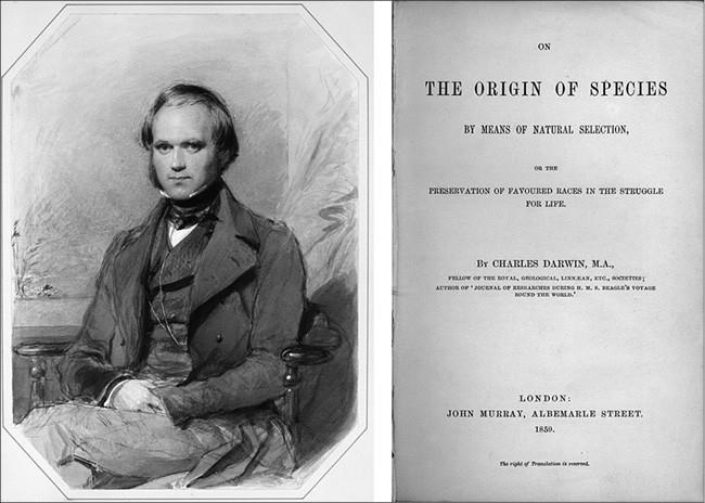 Иллюстрация к книге — 100 великих тайн доисторического мира [i_017.jpg]