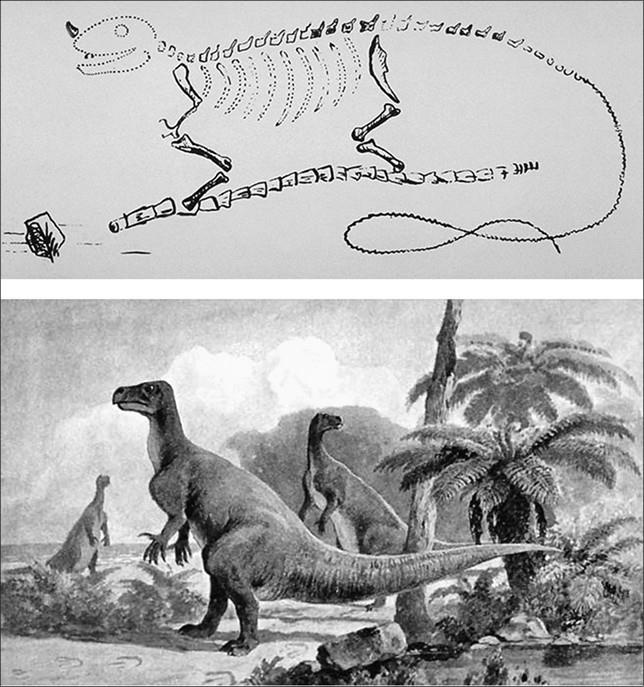Иллюстрация к книге — 100 великих тайн доисторического мира [i_024.jpg]