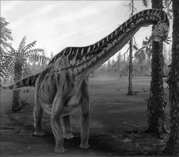 Иллюстрация к книге — 100 великих тайн доисторического мира [i_026.jpg]