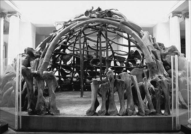 Иллюстрация к книге — 100 великих тайн доисторического мира [i_038.jpg]