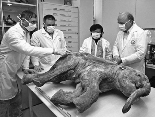 Иллюстрация к книге — 100 великих тайн доисторического мира [i_045.jpg]