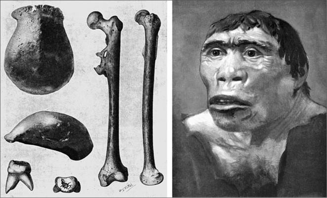 Иллюстрация к книге — 100 великих тайн доисторического мира [i_049.jpg]