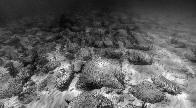 Иллюстрация к книге — 100 великих тайн доисторического мира [i_070.jpg]