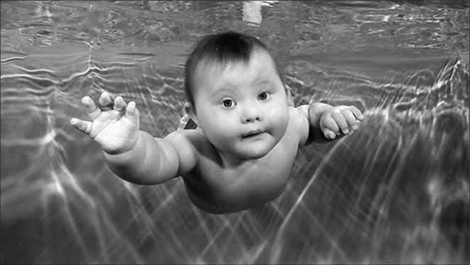 Иллюстрация к книге — 100 великих тайн доисторического мира [i_073.jpg]