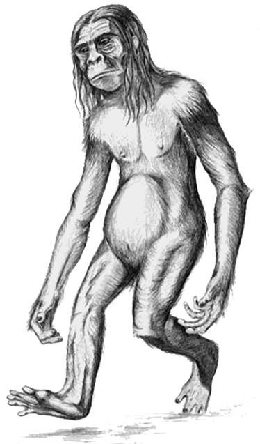 Иллюстрация к книге — 100 великих тайн доисторического мира [i_082.jpg]