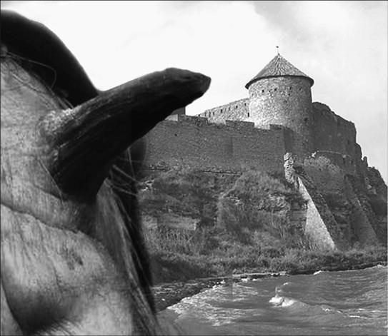 Иллюстрация к книге — 100 великих тайн доисторического мира [i_084.jpg]