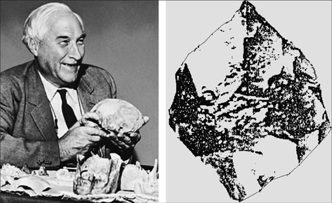 Иллюстрация к книге — 100 великих тайн доисторического мира [i_091.jpg]