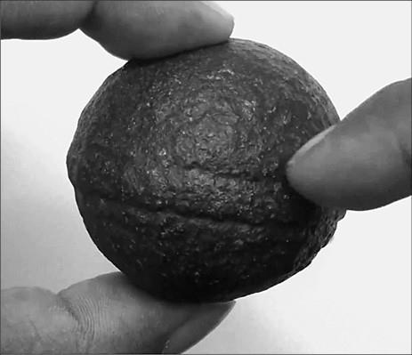 Иллюстрация к книге — 100 великих тайн доисторического мира [i_092.jpg]