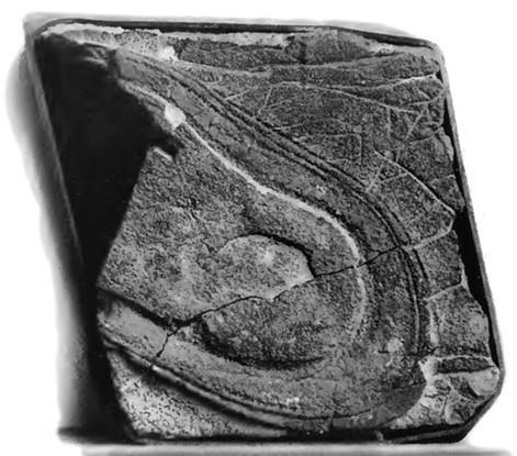 Иллюстрация к книге — 100 великих тайн доисторического мира [i_097.jpg]