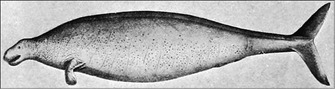 Иллюстрация к книге — 100 великих русских путешественников [i_081.jpg]