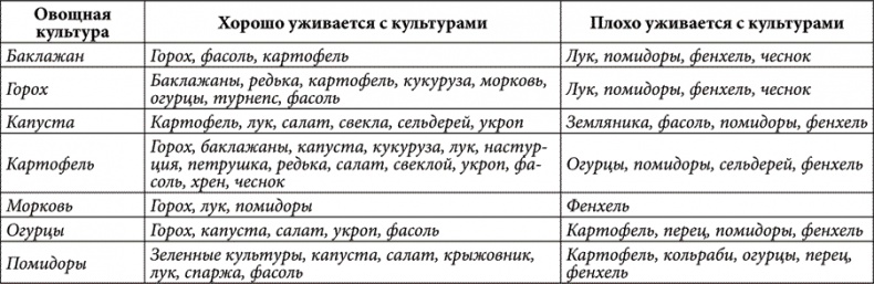 Иллюстрация к книге — Золотые советы хозяюшки [i_041.jpg]