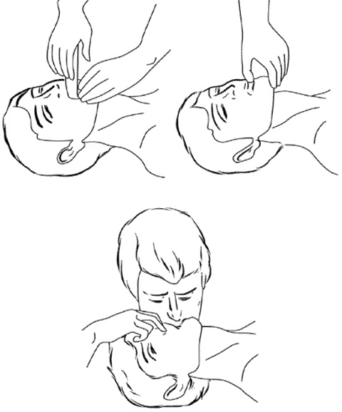 Иллюстрация к книге — Золотые советы хозяюшки [i_043.jpg]