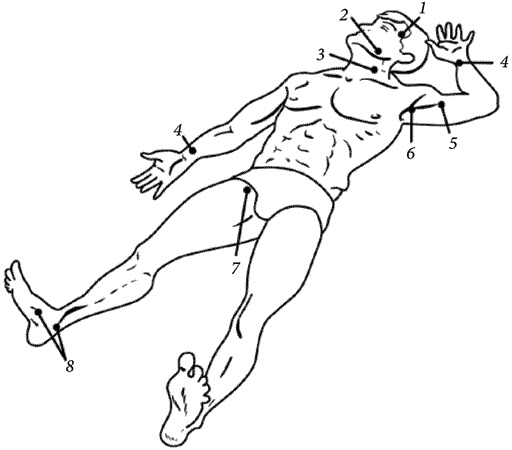 Иллюстрация к книге — Золотые советы хозяюшки [i_044.jpg]