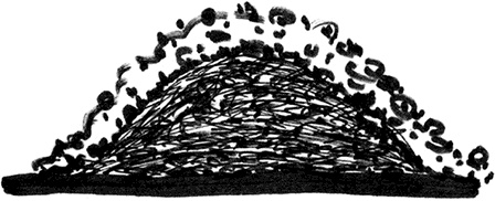 Иллюстрация к книге — Секреты доброй почвы для чудо-урожая [i_008.jpg]