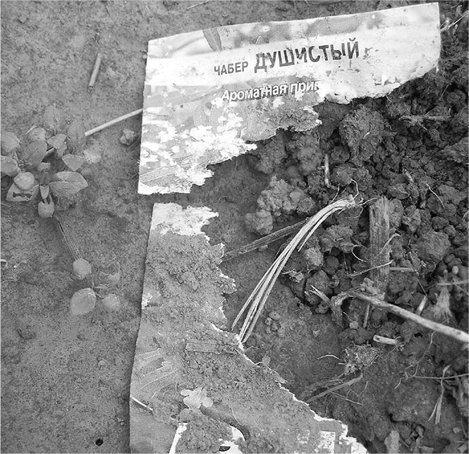 Иллюстрация к книге — Секреты доброй почвы для чудо-урожая [i_009.jpg]