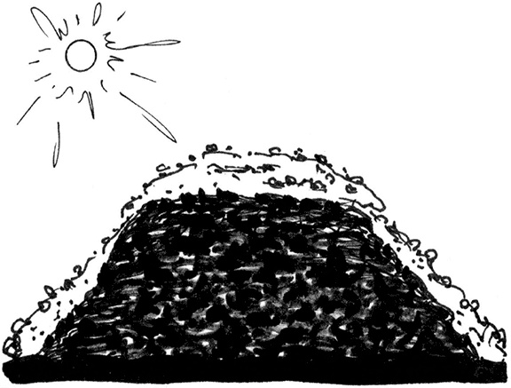 Иллюстрация к книге — Секреты доброй почвы для чудо-урожая [i_014.jpg]