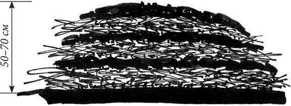 Иллюстрация к книге — Секреты доброй почвы для чудо-урожая [i_015.jpg]