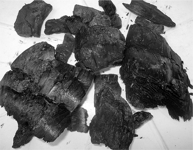 Иллюстрация к книге — Секреты доброй почвы для чудо-урожая [i_019.jpg]