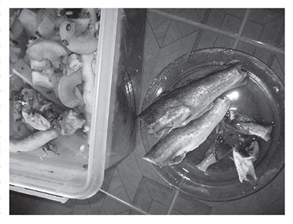 Иллюстрация к книге — Секреты доброй почвы для чудо-урожая [i_020.jpg]