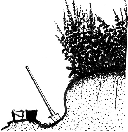 Иллюстрация к книге — Секреты доброй почвы для чудо-урожая [i_021.jpg]