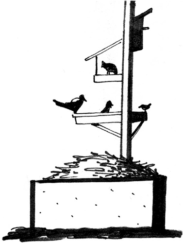 Иллюстрация к книге — Секреты доброй почвы для чудо-урожая [i_022.jpg]