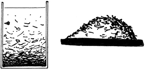 Иллюстрация к книге — Секреты доброй почвы для чудо-урожая [i_026.jpg]