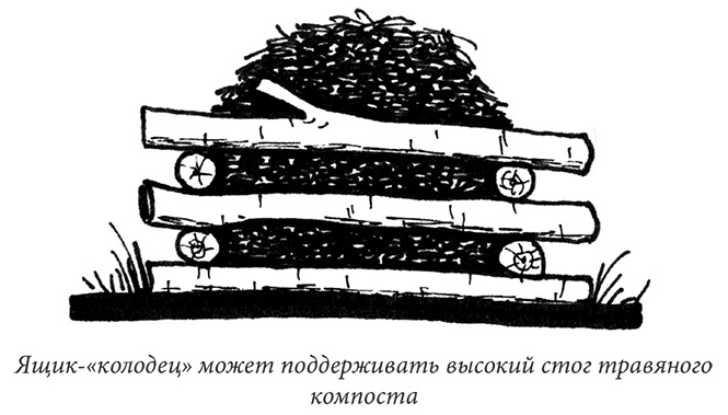 Иллюстрация к книге — Секреты доброй почвы для чудо-урожая [i_036.jpg]