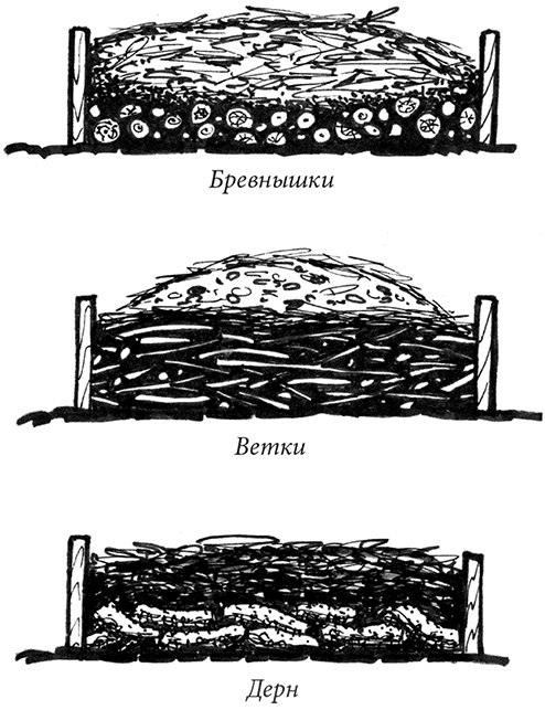 Иллюстрация к книге — Секреты доброй почвы для чудо-урожая [i_038.jpg]