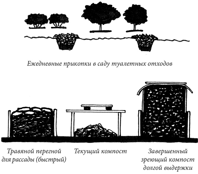 Иллюстрация к книге — Секреты доброй почвы для чудо-урожая [i_047.jpg]